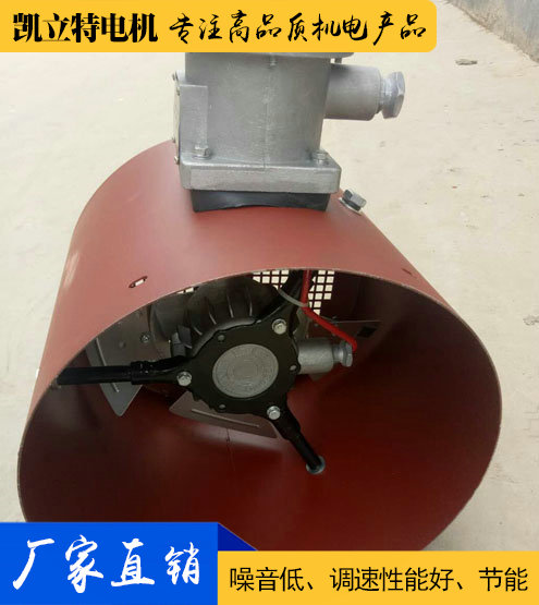 BG/ZB/FZB隔爆（防爆)变频风机